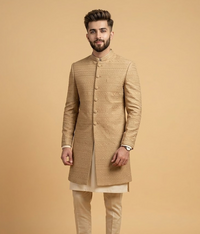 Beige Embroidered Schiffli Dulha House