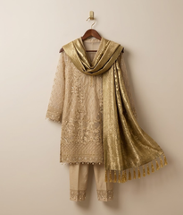 Beige Vasli Organza Suit