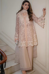 Blush Organza Lace Straight-Suit