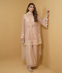 Blush Organza Lace Straight-Suit