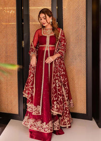 Crimson Net Kalidar Frock