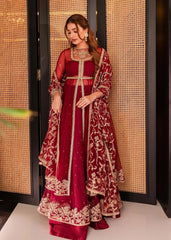 Crimson Net Kalidar Frock