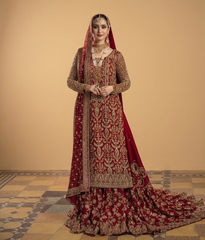 Deep Scarlet Dabka Worked Tail-Gharara