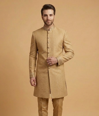 Gold Dotted Silk Dulha House