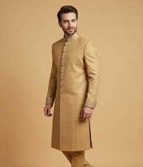 Gold Dotted Silk Dulha House