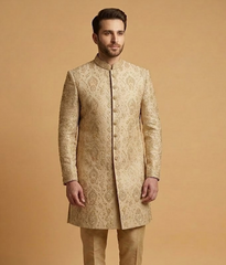 Gold Zardosi Work Tissue Silk Dulha House