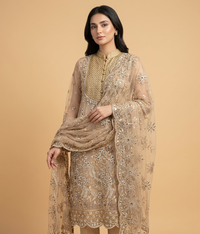 Golden Cut Dana Net 2 Piece Shirt and Dupatta