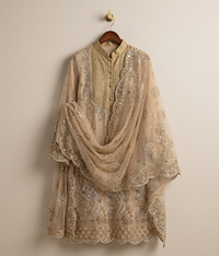 Golden Cut Dana Net 2 Piece Shirt and Dupatta