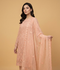 Ornate Mesh Chiffon 2 Piece Shirt and Dupatta