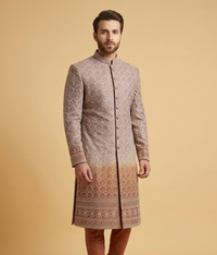 Steel Scallop Masoori Dulha House