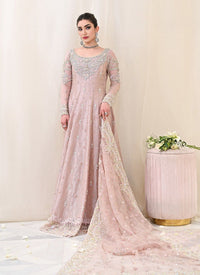 Tea Rose Silver Vasli & Mirror Work Kalidar Gown