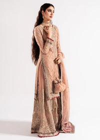 Tea Rose Zardozi Gharara