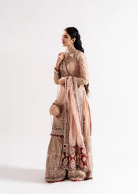 Tea Rose Zardozi Gharara