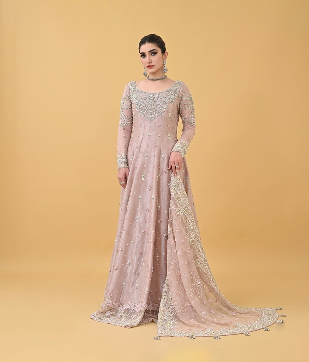 Tea Rose Silver Vasli & Mirror Work Kalidar Gown