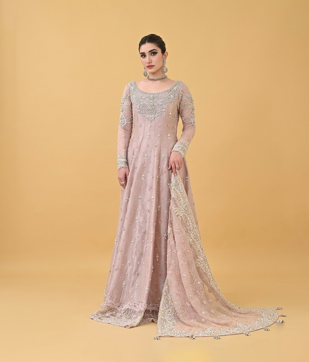 Tea Rose Silver Vasli & Mirror Work Kalidar Gown