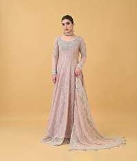 Tea Rose Silver Vasli & Mirror Work Kalidar Gown